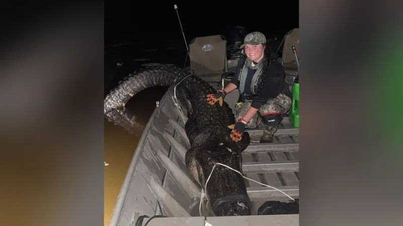 Arkansas alligator hunters harvest 150 gators during season's first weekend