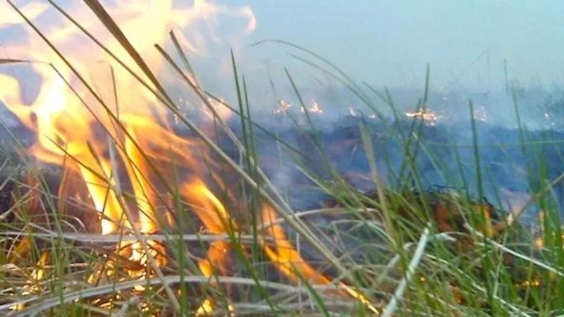 ADA urges row crop producers to follow Voluntary Smoke Management Guidelines