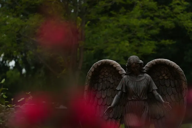 Arkansas' year-over-year suicide rate falls in 2024; total rate is nation's 14th highest, CDC reports