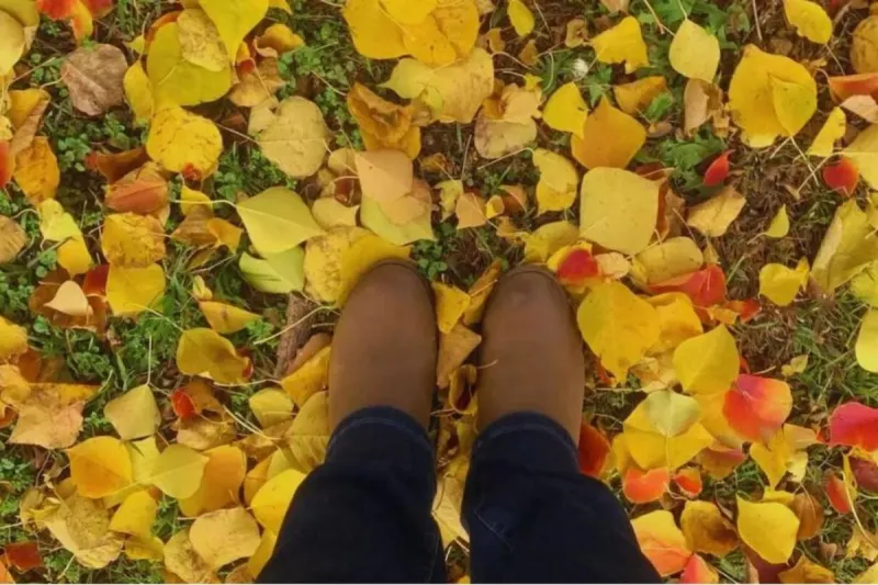 Will East Texas Get a Good Fall Color Show This Year?