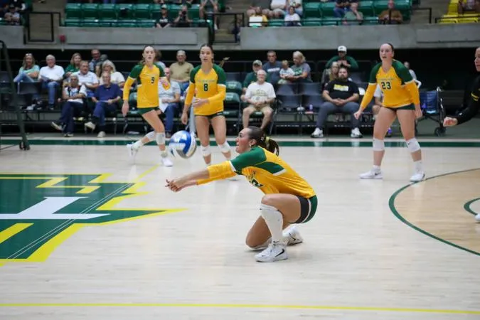Golden Suns ready for battle against Harding at home