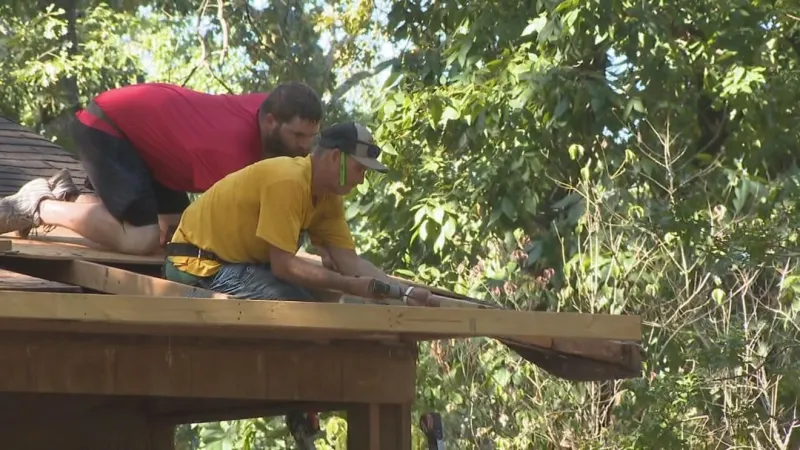 Tree Mishap: A tale of two sides in homeowner's damage dispute