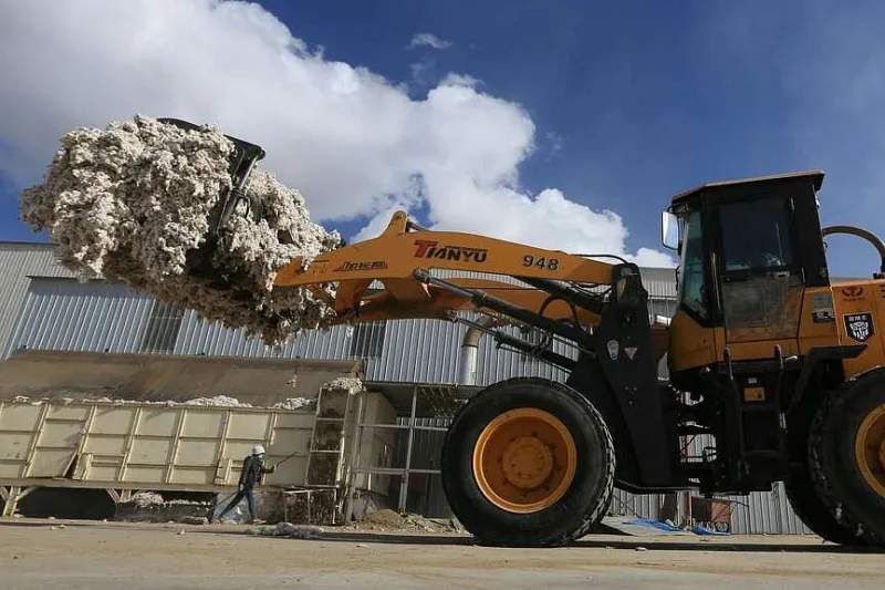 Chinese firm skirts sanction with clothes imports via Vietnam