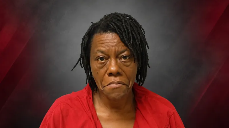 Woman Accused of Bagging Walmart Clothing Without Paying Faces Felony