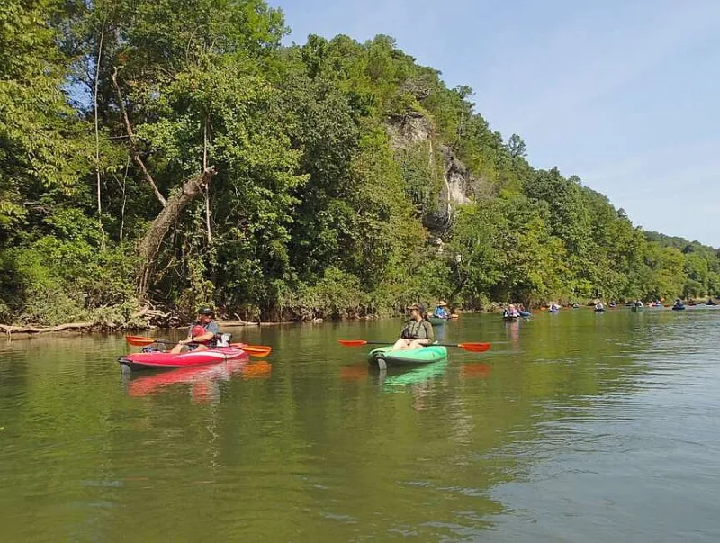 Drop your ruling in the Illinois River pollution case, all parties ask judge