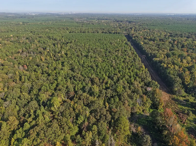 Dismang group owns land adjoining AVAIO data center site in Wrightsville