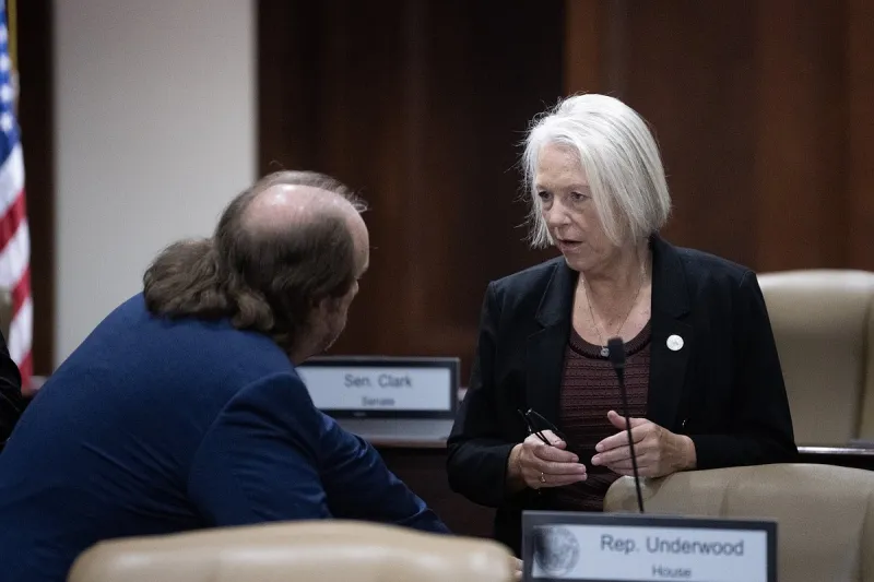 Speakers pitch Arkansas lawmakers on options for reducing inmate population, saving money