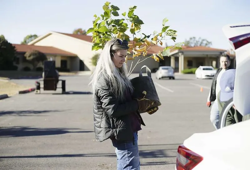 Bella Vista's free fall tree giveaway set for Oct. 16 with sign-up beginning Friday