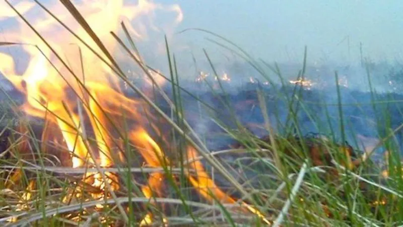 Farmers advised to follow smoke management guidelines