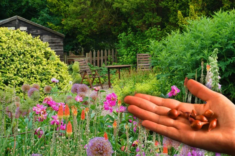 How to Save Seeds: Free Bowie County Gardening Class Oct 12