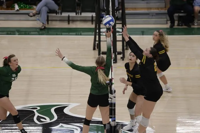 Golden Suns fall short in four-set battle with Bison