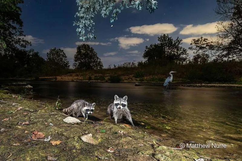 Artists find stories, memories and meaning along Spring Creek