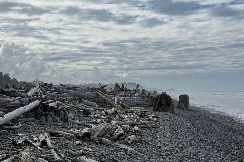West Coast sea levels expected to rise a foot
