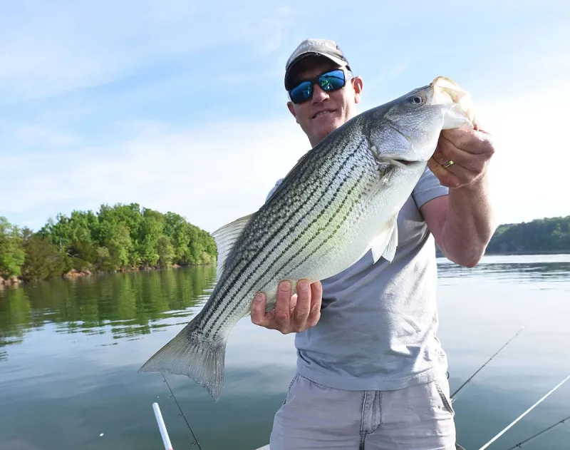 NWA Fishing Report: Fall fishing is still a ways off