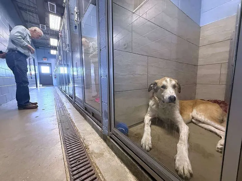 New Fayetteville animal services facility site approved