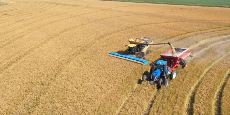 Iran War costs Arkansas farmers at least $343 million
