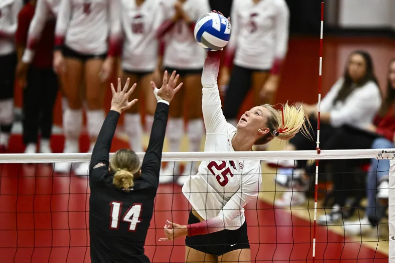 Arkansas volleyball set to host Texas, Texas A&M this weekend
