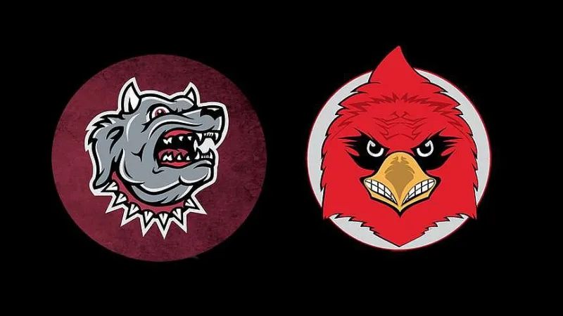Norwood leads Farmington past Morrilton