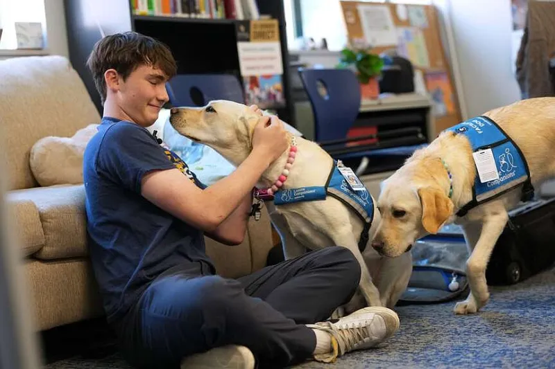 Dogs provide comfort for students
