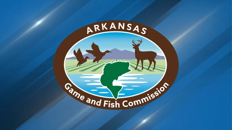 Arkansas drought could make duck hunting season tougher, costlier