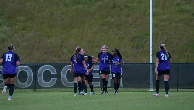 Bears Claim 3-1 Win over Wolves