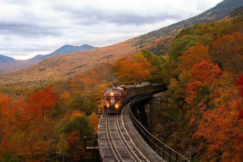 Take a Scenic Fall Foliage Train Ride Through the Ozarks