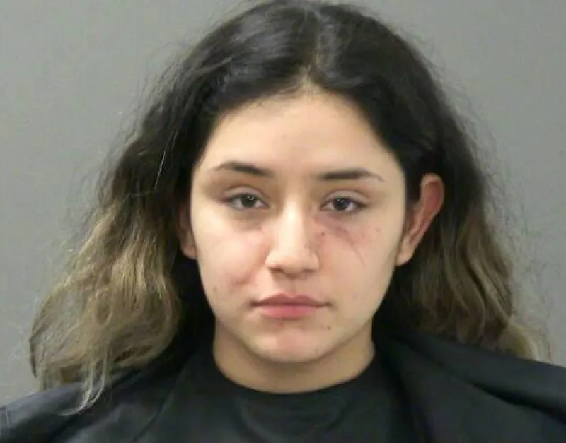 Springdale woman pleads guilty to lesser charges in 2023 Springdale shooting