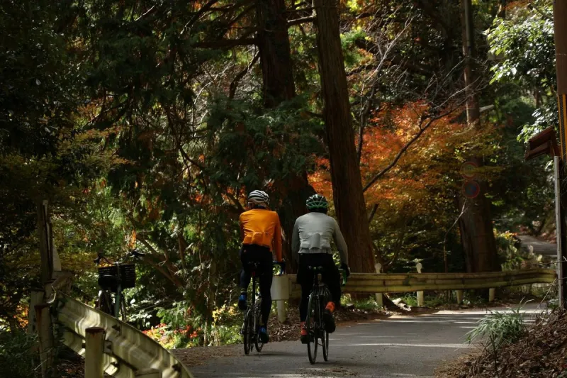 Help TxDOT Plan Safer Bicycle Trails in Our Area