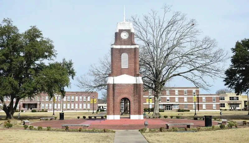 UAPB hires Brown as provost, executive vice chancellor for academic affairs