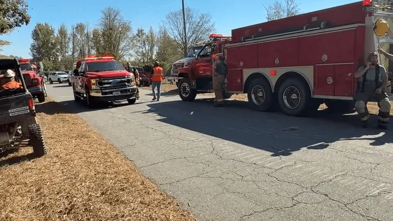 Multiple crews fight blaze spreading into woods near McFadden Road in Pine Bluff
