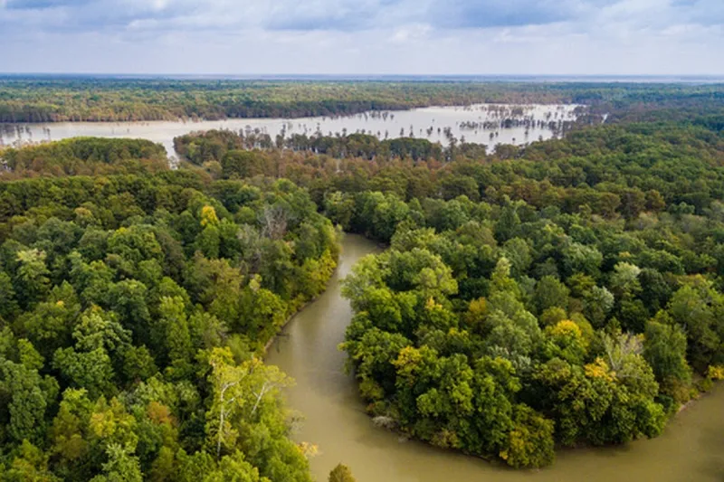 Duck season stokes arguments, threats over hunting spots in northeast Arkansas' Sunken Lands