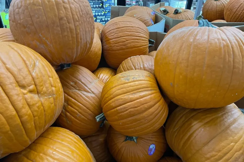 Need a Pumpkin? Here's Where to Look Around East Texas