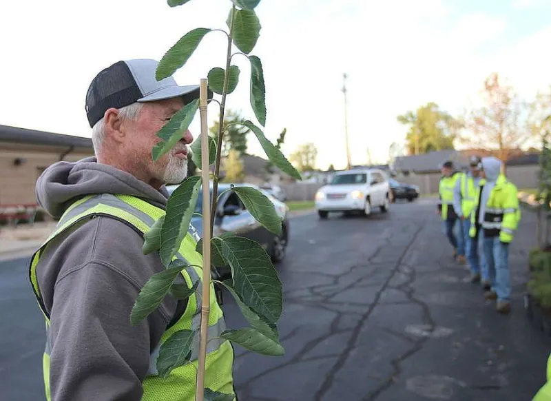 Tree giveaway is Friday