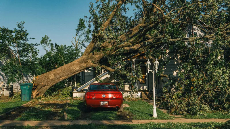 FEMA leader says states should handle their own problems