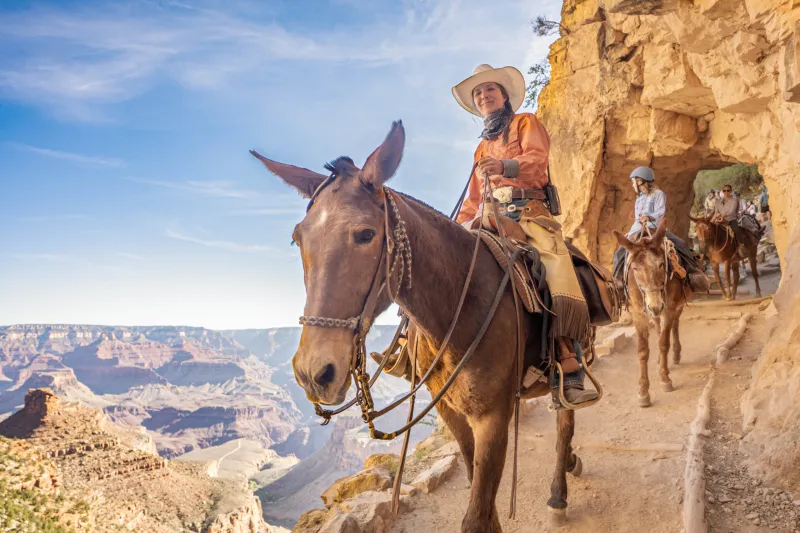 Wranger Lisa "Tex" Parker Focuses on the Grand Canyon Mule Ride Experience and Safety