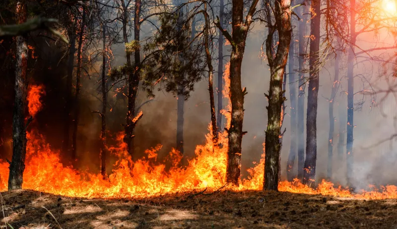 Fire Officials are on High Alert, Residents Encouraged to Be Prepared