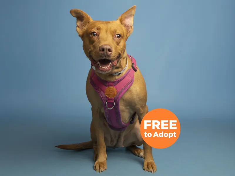 Hazel is Holding Out Hope for Her Second Chance
