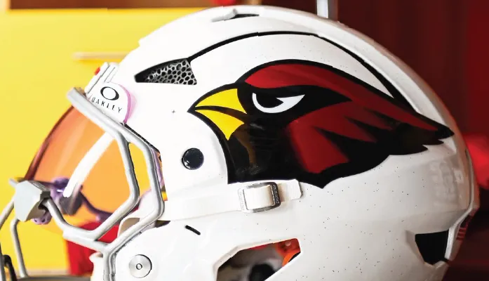 Arizona Cardinals Close Minicamp with '100% Clean' Bill of Health