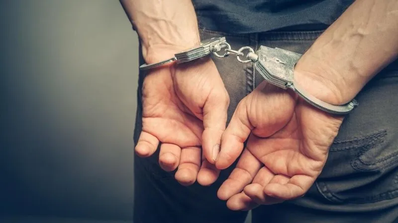 Man arrested in Arizona after dead kitten, rattlesnakes found in truck