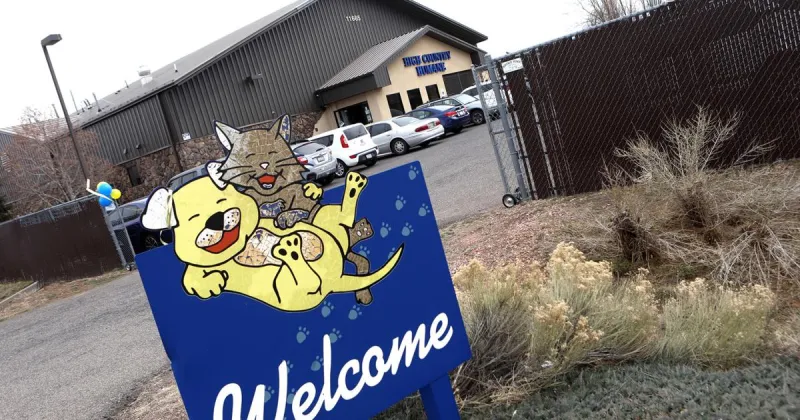 Animal Welfare: What the HCH/CHA merger means for animal care in Flagstaff going forward