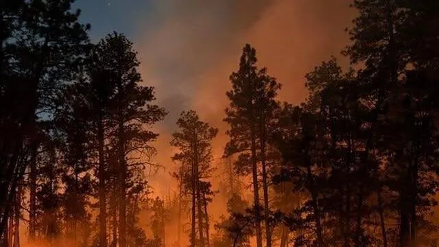 Wildfire near Sedona grows to 17K