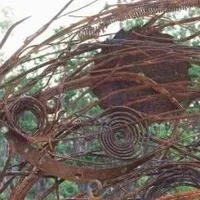 Botanical Blacksmiths open at the The Arboretum at Flagstaff through Sept. 19
