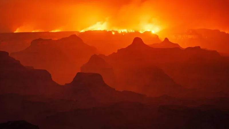 Grand Canyon shows its resilience a year after massive Dragon Bravo Fire
