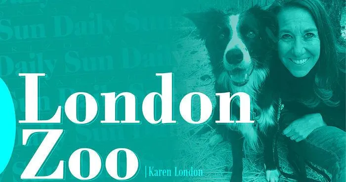 London Zoo: The wind's tiny passengers