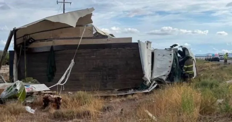 I-10 rollover near Willcox sends driver to trauma hospital