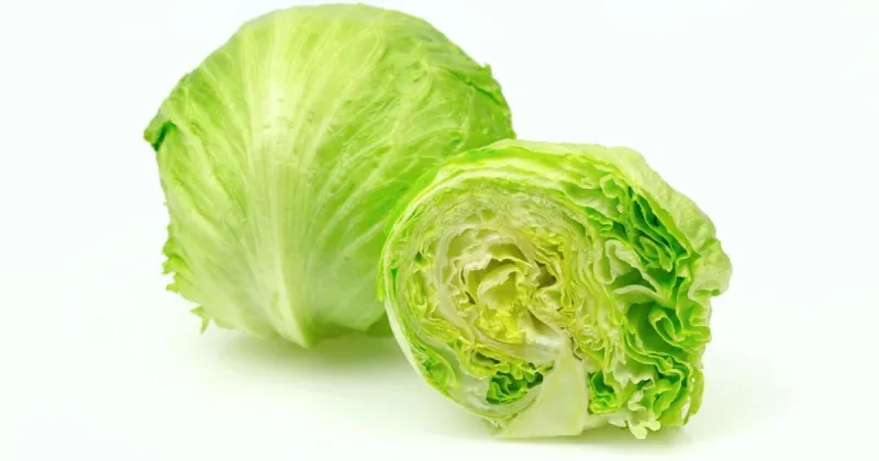 FDA: Taylor Farms lettuce wrongly cited as source of cyclosporiasis