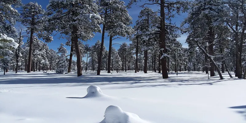 ASU researchers contribute to Arizona's quest to sustain aquifer
