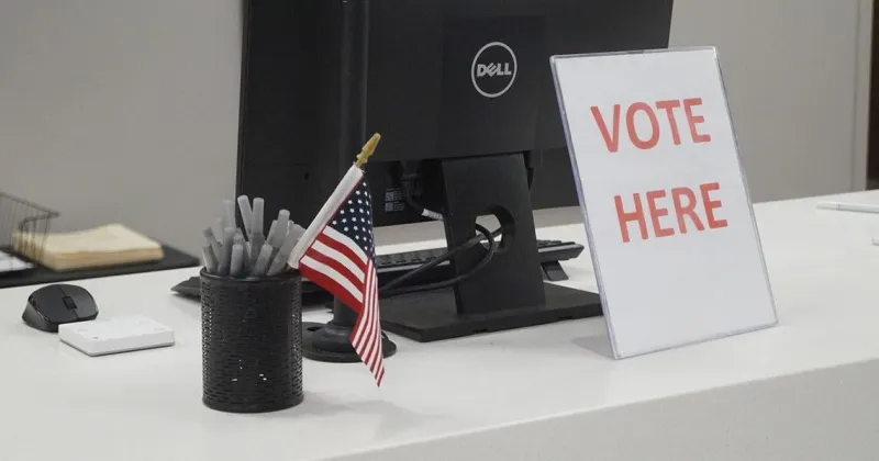 Here's how Illinois election authorities guard against noncitizen voting