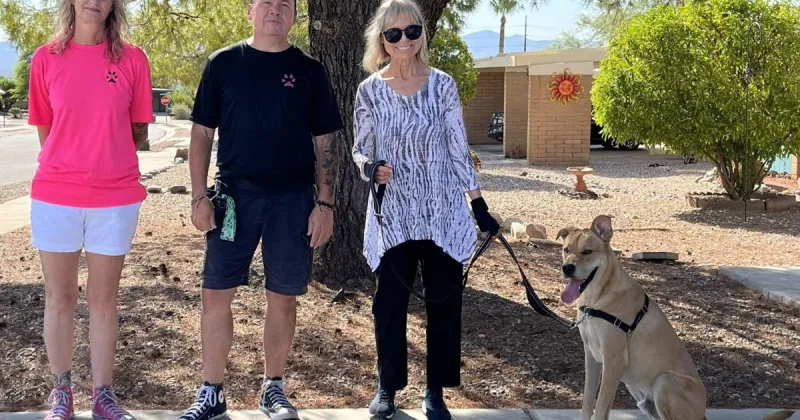 Keep 'em home: Local nonprofit aims to keep dogs out of shelters