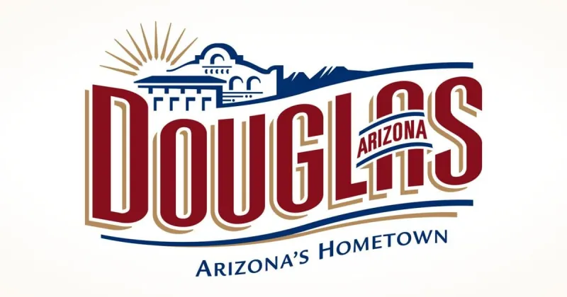 Douglas council to consider adopting primary election results
